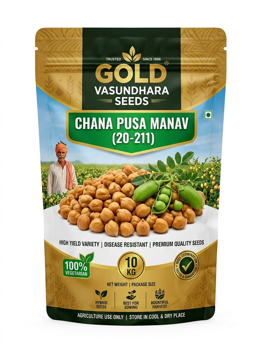 CHANA PUSA MANAV (20-211)