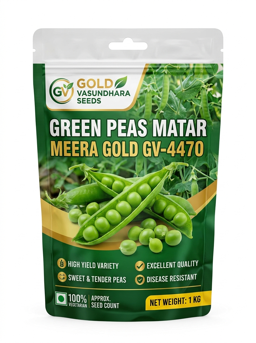 GREEN PEAS MATAR MEERA GOLD GV -4470