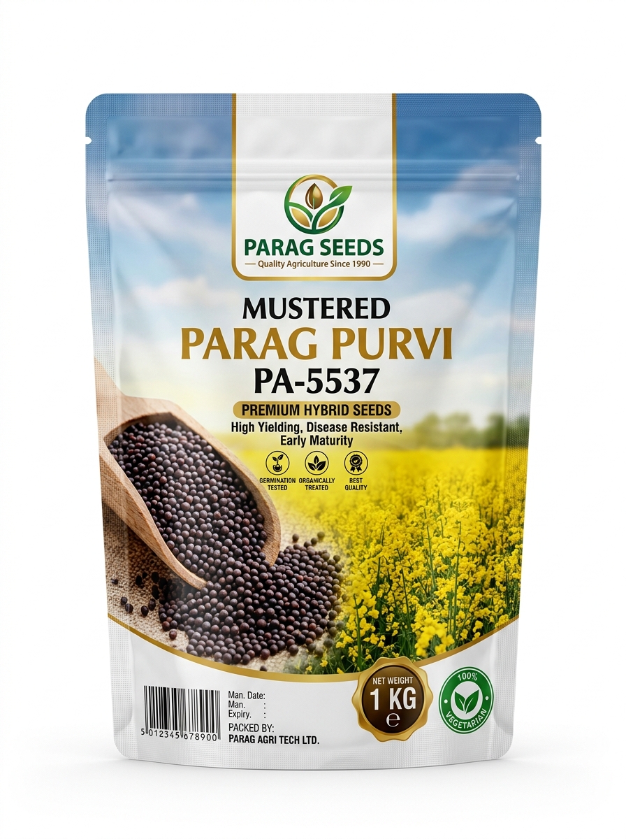 MUSTERED PARAG PURVI PA-5537